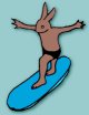 Cayucos Web Sites